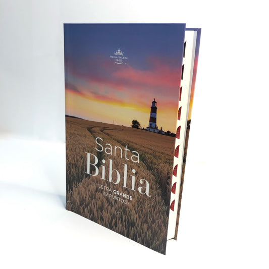 10 Ilustraciones Nuevas de La Biblia